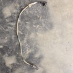 OLA GEN 1 SCREEN HMI CABLE